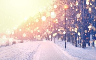 Holiday Greetings from MVG Consulting