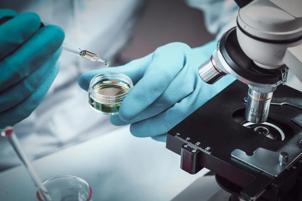 Novel Retinal Disease Treatments? Iveric Bio Begins the Search for Potential Gene Therapies