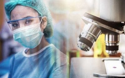 MVG Consulting provides an alternative to the large Contract Research Organizations.